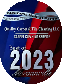 professional cleaning service in Morganville, NJ