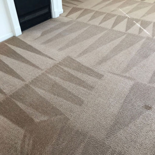 carpet cleaning services Morganville
