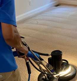 quality carpet cleaning